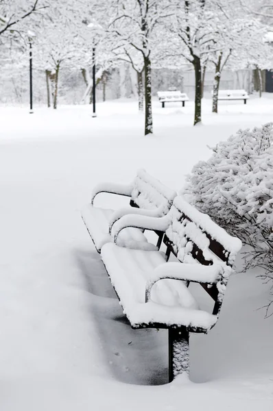 Parque Inverno Coberto Com Neve Branca Fresca — Fotografia de Stock