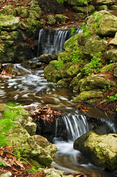 Creek Met Kleine Watervallen Japanse Zen Tuin — Stockfoto