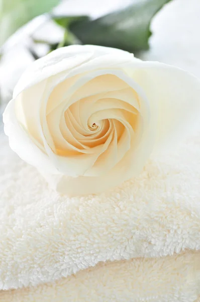 Stack of towels and rose — Stock Photo, Image