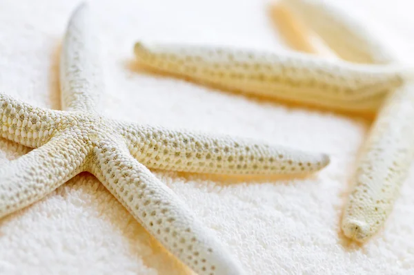 Lüks Yumuşak Havlu Üzerinde Kurutulmuş Starfishes Yakın Çekim — Stok fotoğraf