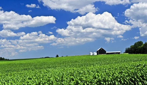 Rural landscape — Stock Photo, Image