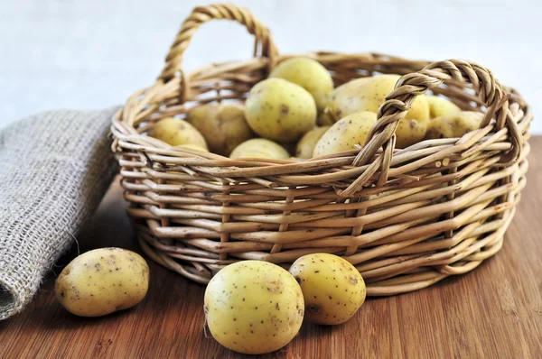 Řádek brambory — Stock fotografie