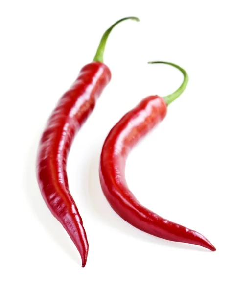 Red Hot Chilli Papričky Izolované Bílém Pozadí — Stock fotografie