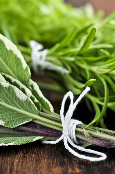 Bunches of fresh herbs — Stock Photo, Image