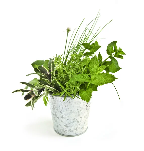 Fresh Herbs Bucket Isolated White Background — Stock Photo, Image