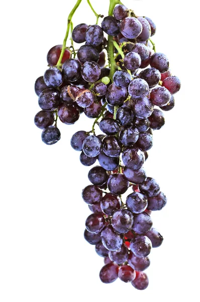 Кластер Червоного Винограду Крупним Планом Білому Тлі — стокове фото