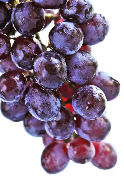 Cluster Van Rode Druiven Sluiten Upi Witte Achtergrond — Stockfoto