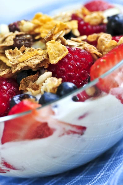 Yoghurt met bessen en muesli — Stockfoto