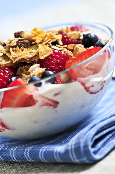 Yogurt con bacche e muesli — Foto Stock
