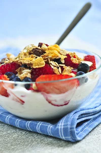 Yogurt with berries and granola — Stock Photo, Image