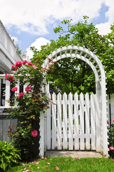庭の赤いバラの花と白いアーバー — ストック写真