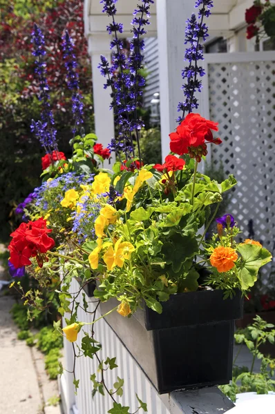 Květináč Verandě Domu Zblízka — Stock fotografie