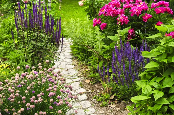舗装されたパスを持つ夏の庭に咲く緑豊かな — ストック写真