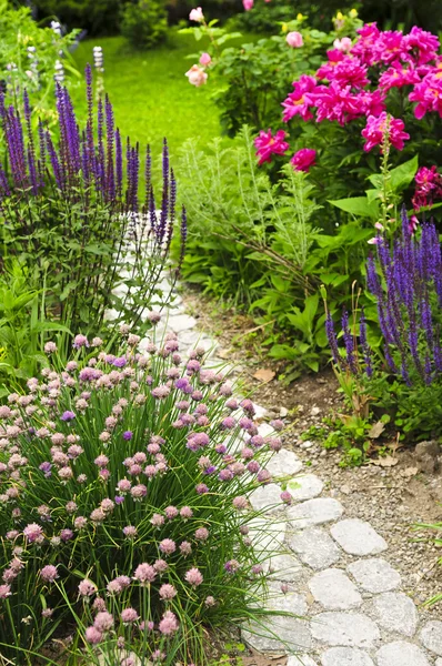 Pad in de bloeiende tuin — Stockfoto