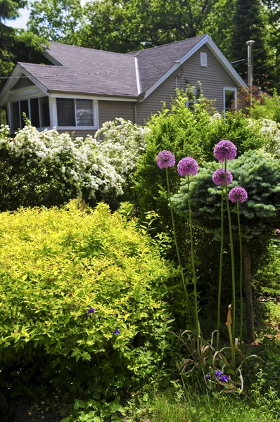 Gepflegter Vorgarten Eines Hauses Mit Blühendem Garten — Stockfoto