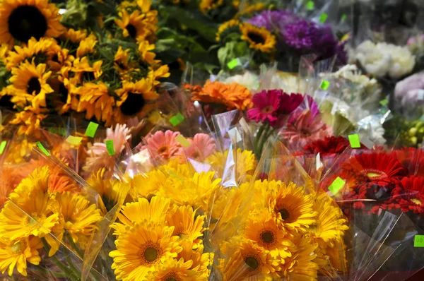 Flores para la venta — Foto de Stock