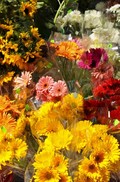 供出售的花卉 — 图库照片