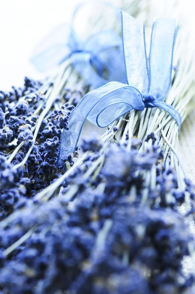 Bunches Dried Lavender Herb Close — Stock Photo, Image