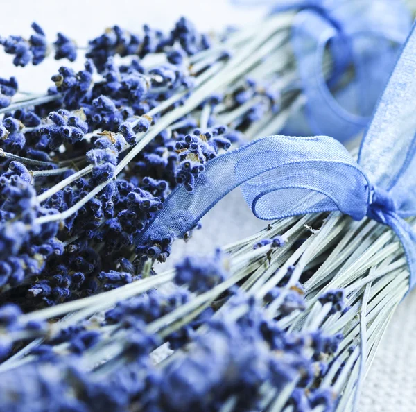 Getrockneter Lavendel — Stockfoto