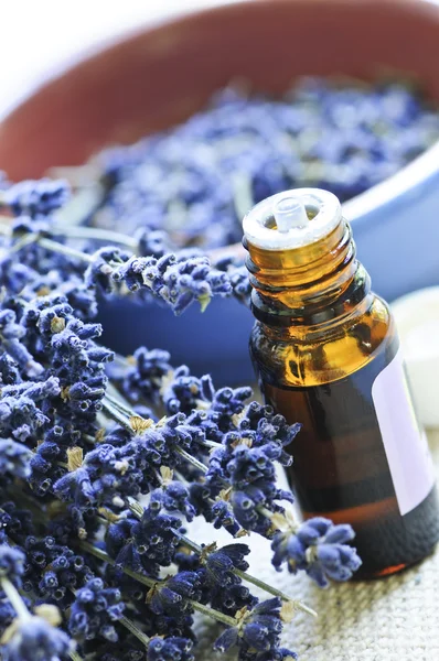 Lavendelkraut und ätherisches Öl — Stockfoto