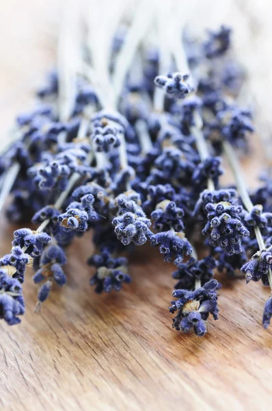 Dried lavender — Stock Photo, Image