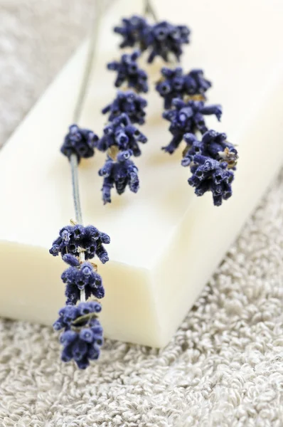 Bar Natural Aromatherapy Soap Dried Lavender — Stock Photo, Image