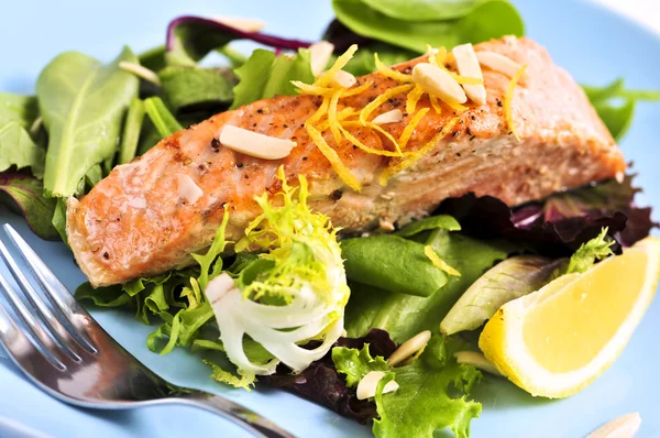 Salada com salmão grelhado — Fotografia de Stock