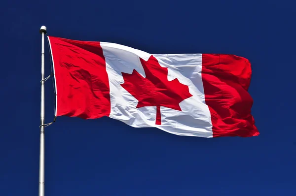 stock image Flag of Canada waving in the wind on blue sky background