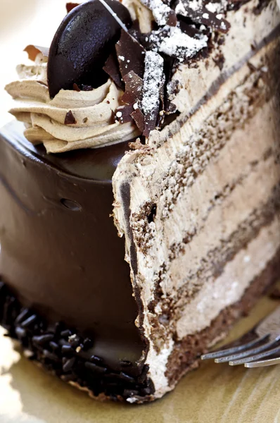 O felie de tort de ciocolată — Fotografie, imagine de stoc