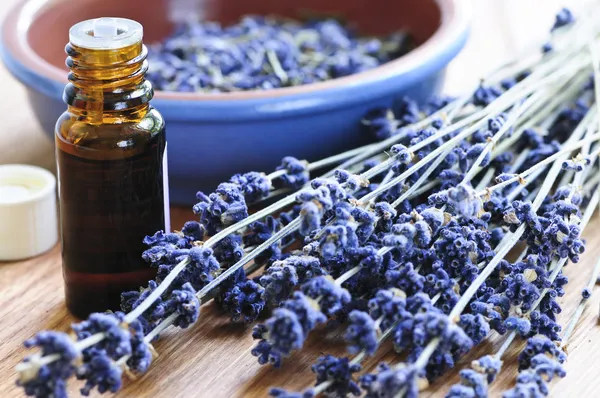 Getrocknetes Lavendelkraut Und Ätherisches Aromatherapie Stockbild