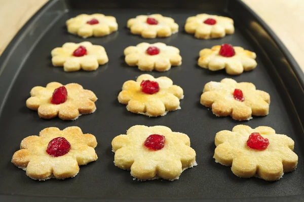 Fresh Shortbread Cookies Baking Tray Stock Image