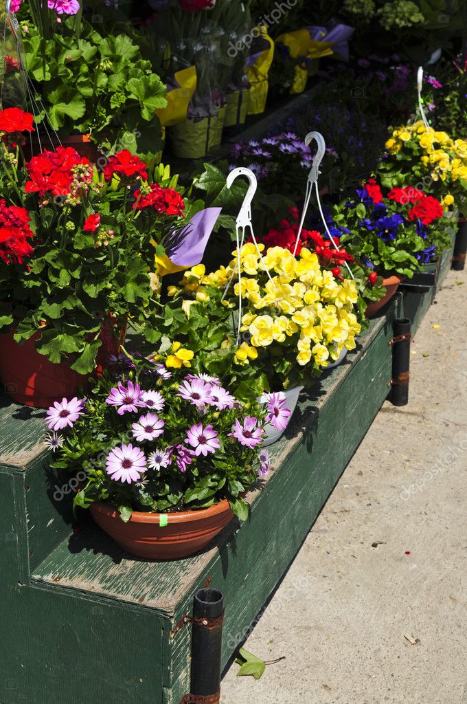 Flower baskets for sale — Stock Photo © elenathewise 4565648