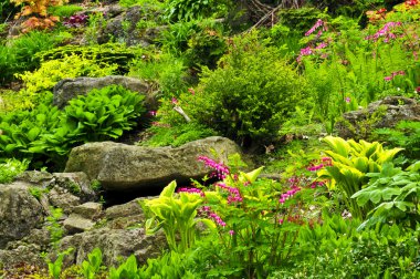 Rock garden with various plants and flowers clipart