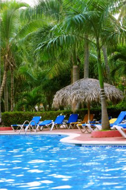 Swimming pool and palm trees at tropical resort clipart