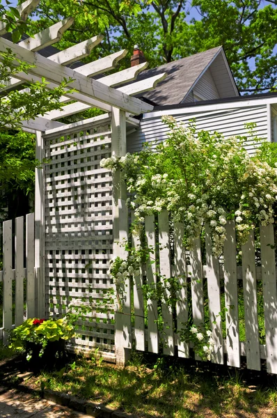Treliça branca em um jardim — Fotografia de Stock