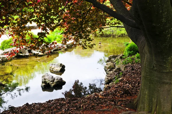 Staw w ogrodzie zen — Zdjęcie stockowe