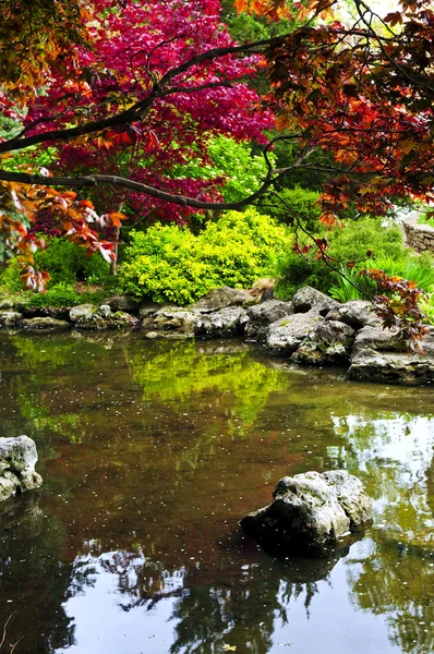 선 정원 연못 — 스톡 사진