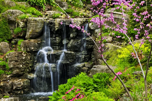 春には日本庭園の滝 — ストック写真