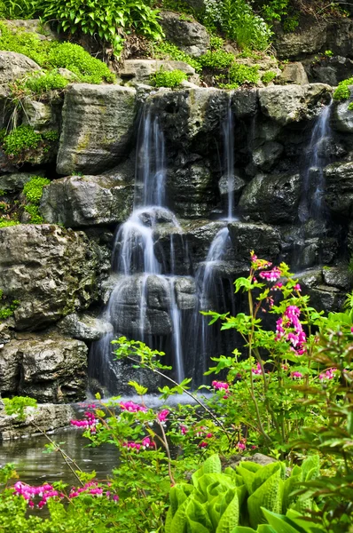 春には日本庭園の滝 — ストック写真