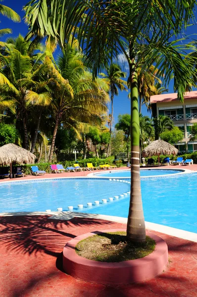 Yüzme Havuzu Palm Ağaçlar Tropikal Resort Otel — Stok fotoğraf