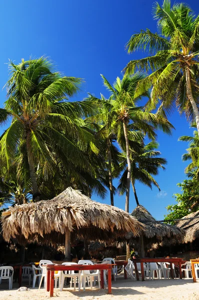 Restaurante Aire Libre Playa Tropical Con Palmeras —  Fotos de Stock
