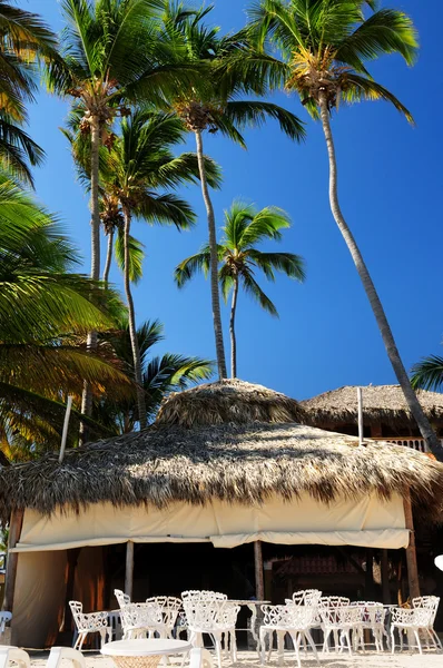 Открытый Ресторан Тропическом Пляже Пальмами — стоковое фото