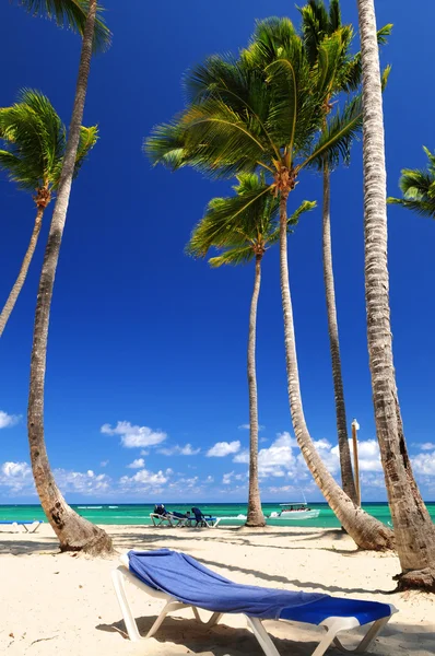 加勒比度假村与高大的棕榈树的沙滩 — 图库照片