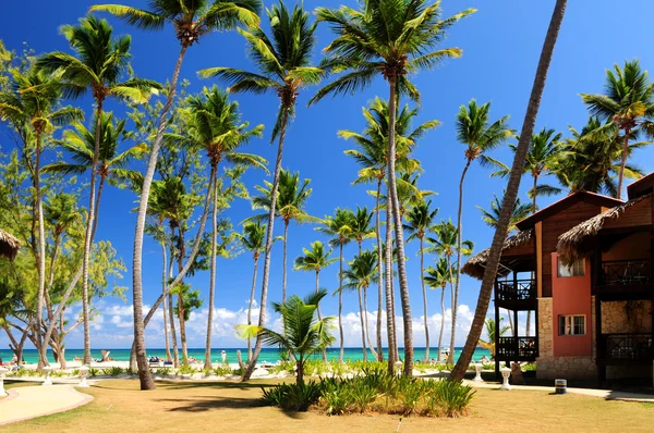 Luxus Hotel Tropical Resort Pálmafákkal Teli Óceán Partján — Stock Fotó