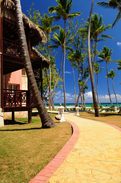 Роскошный Отель Тропическом Курорте Берегу Океана Пальмами — стоковое фото