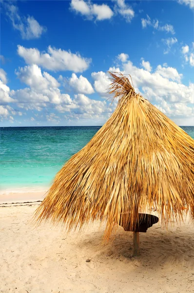 ヤシの枝の避難所とカリブ海の島の熱帯のビーチ — ストック写真