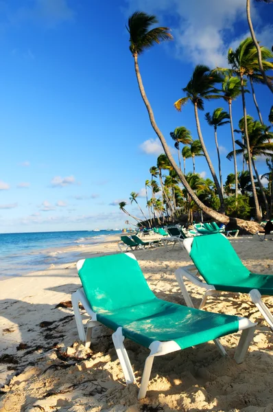 Spiaggia sabbiosa di resort tropicale — Foto Stock