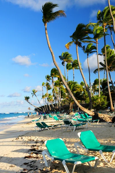 热带度假村与棕榈树和活动靠背椅的沙滩 — 图库照片