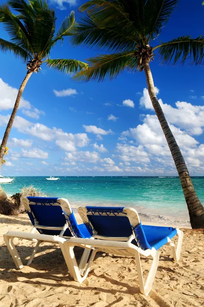 Sandy beach of tropical resort — Stock Photo, Image