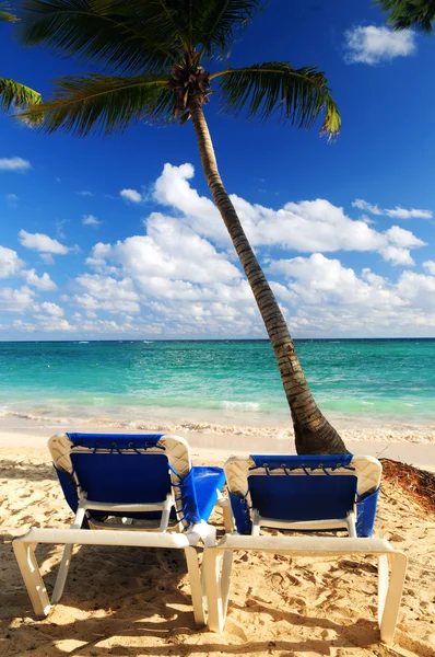 热带度假村与棕榈树和两个活动靠背椅的沙滩 — 图库照片